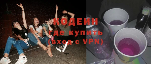 прущие грибы Алзамай