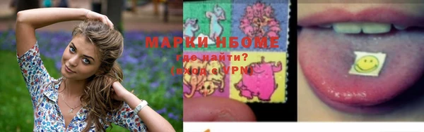 прущие грибы Алзамай