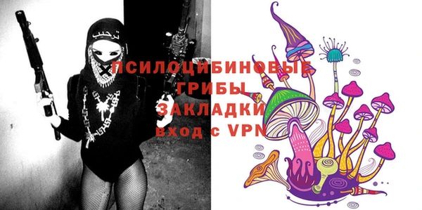 прущие грибы Алзамай