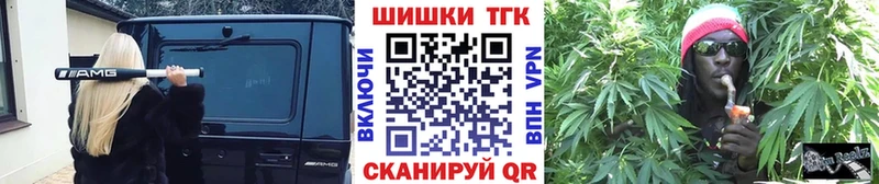 Конопля планчик  Сясьстрой 